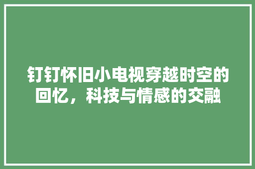 钉钉怀旧小电视穿越时空的回忆，科技与情感的交融