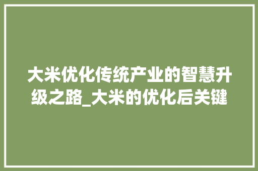 大米优化传统产业的智慧升级之路_大米的优化后关键词