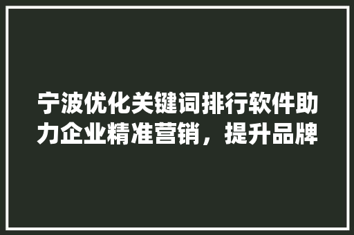 宁波优化关键词排行软件助力企业精准营销，提升品牌影响力_宁波优化关键词排行软件