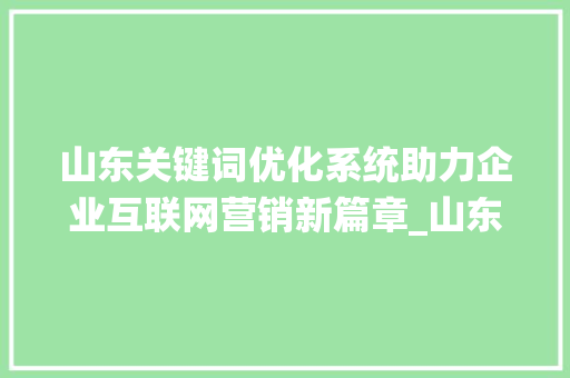 山东关键词优化系统助力企业互联网营销新篇章_山东关键词优化系统