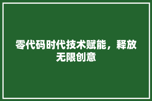 零代码时代技术赋能，释放无限创意