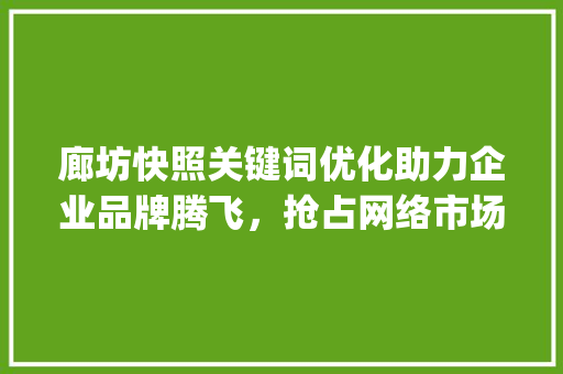 廊坊快照关键词优化助力企业品牌腾飞，抢占网络市场制高点_廊坊快照关键词优化业务