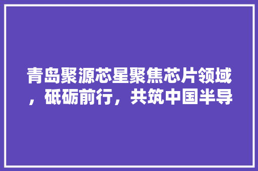 青岛聚源芯星聚焦芯片领域，砥砺前行，共筑中国半导体强国梦