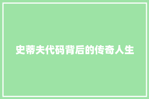 史蒂夫代码背后的传奇人生