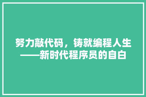 努力敲代码，铸就编程人生——新时代程序员的自白