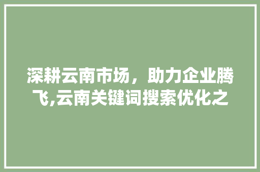 深耕云南市场，助力企业腾飞,云南关键词搜索优化之路_云南关键词搜索优化公司