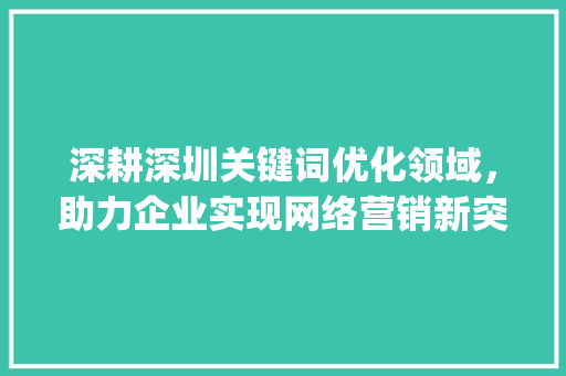 深耕深圳关键词优化领域，助力企业实现网络营销新突破_深圳关键词优化哪家专业