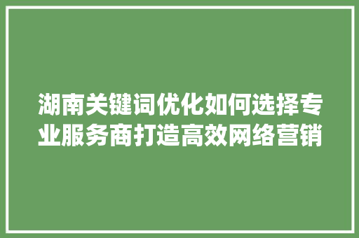 湖南关键词优化如何选择专业服务商打造高效网络营销步骤_湖南关键词优化选哪家