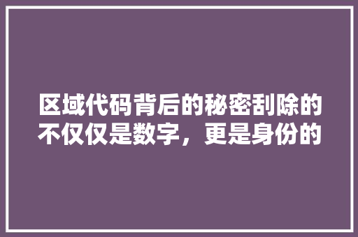 区域代码背后的秘密刮除的不仅仅是数字，更是身份的烙印