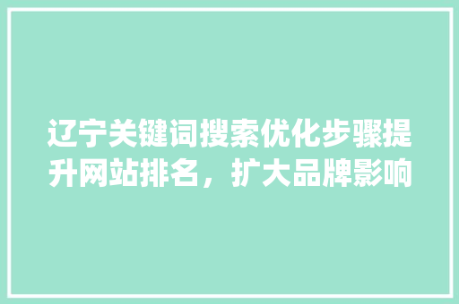 辽宁关键词搜索优化步骤提升网站排名，扩大品牌影响力_辽宁关键词搜索优化咋做