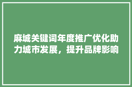 麻城关键词年度推广优化助力城市发展，提升品牌影响力_麻城关键词年度推广优化  第1张