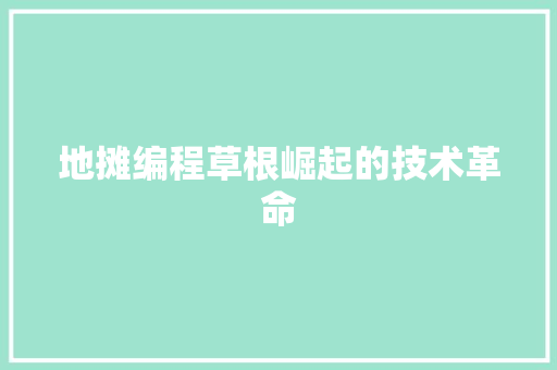 地摊编程草根崛起的技术革命  第1张