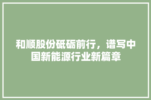 和顺股份砥砺前行，谱写中国新能源行业新篇章