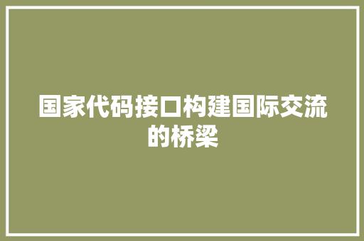 国家代码接口构建国际交流的桥梁