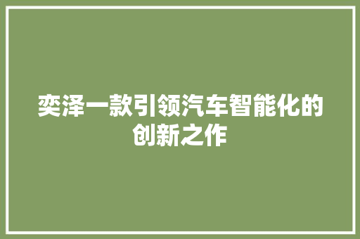 奕泽一款引领汽车智能化的创新之作