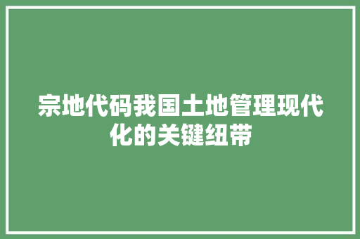 宗地代码我国土地管理现代化的关键纽带