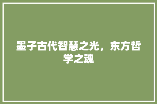 墨子古代智慧之光，东方哲学之魂  第1张