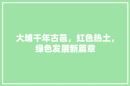大埔千年古邑，红色热土，绿色发展新篇章