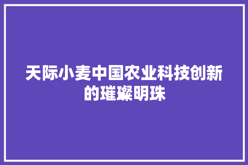 天际小麦中国农业科技创新的璀璨明珠
