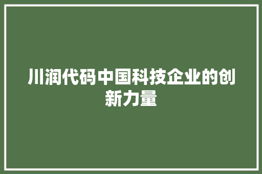 川润代码中国科技企业的创新力量