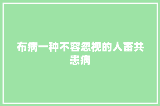 布病一种不容忽视的人畜共患病
