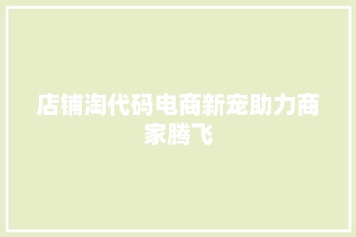 店铺淘代码电商新宠助力商家腾飞