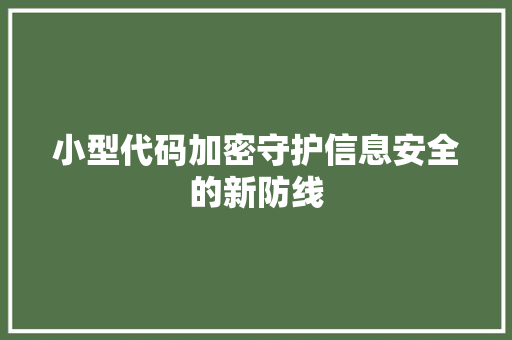 小型代码加密守护信息安全的新防线