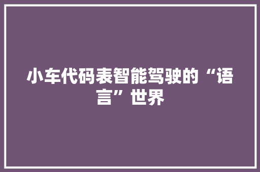 小车代码表智能驾驶的“语言”世界