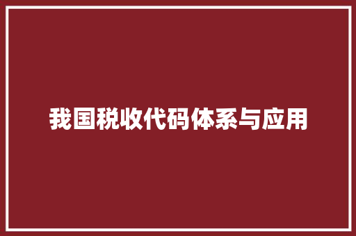 我国税收代码体系与应用