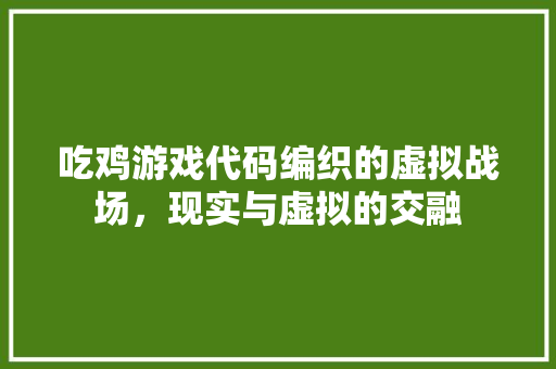 吃鸡游戏代码编织的虚拟战场，现实与虚拟的交融