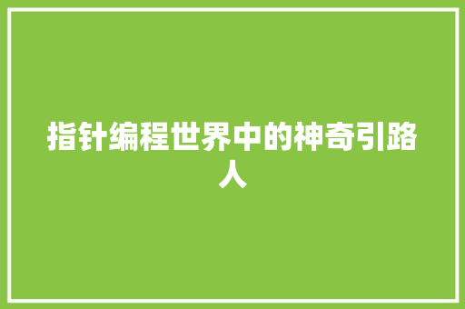 指针编程世界中的神奇引路人