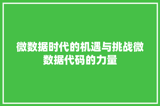 微数据时代的机遇与挑战微数据代码的力量