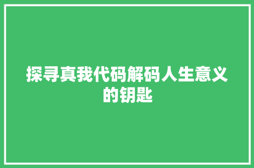 探寻真我代码解码人生意义的钥匙