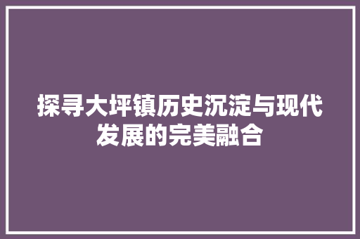 探寻大坪镇历史沉淀与现代发展的完美融合