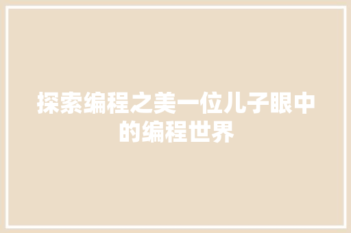 探索编程之美一位儿子眼中的编程世界