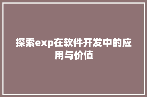 探索exp在软件开发中的应用与价值