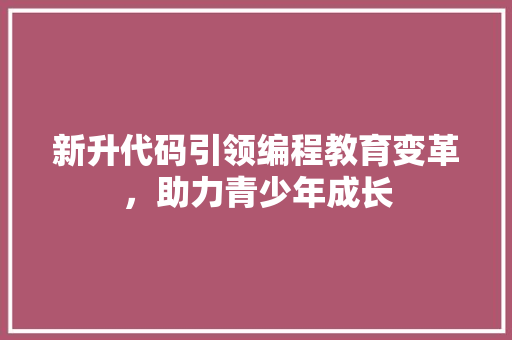 新升代码引领编程教育变革，助力青少年成长