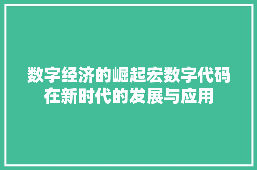 数字经济的崛起宏数字代码在新时代的发展与应用