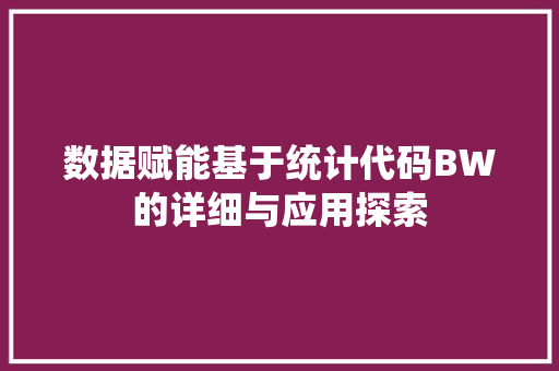 数据赋能基于统计代码BW的详细与应用探索