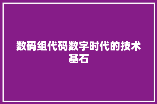 数码组代码数字时代的技术基石