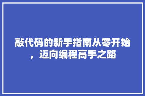 敲代码的新手指南从零开始，迈向编程高手之路