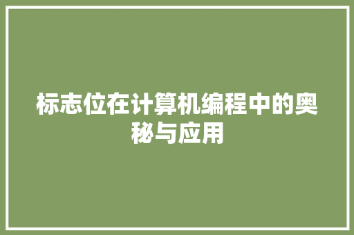 标志位在计算机编程中的奥秘与应用