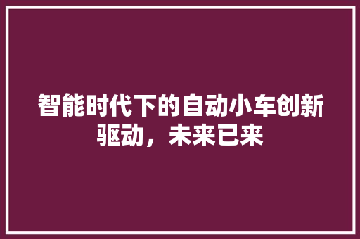 智能时代下的自动小车创新驱动，未来已来