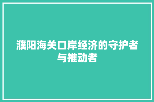 濮阳海关口岸经济的守护者与推动者