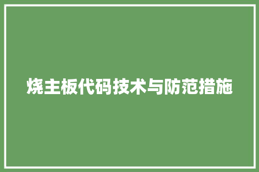 烧主板代码技术与防范措施