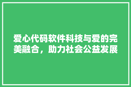 爱心代码软件科技与爱的完美融合，助力社会公益发展