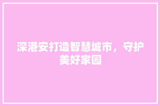 深港安打造智慧城市，守护美好家园