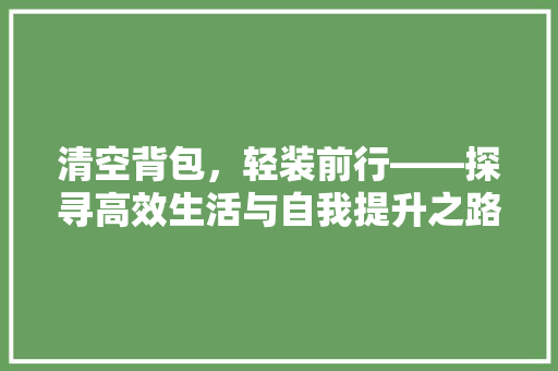 清空背包，轻装前行——探寻高效生活与自我提升之路