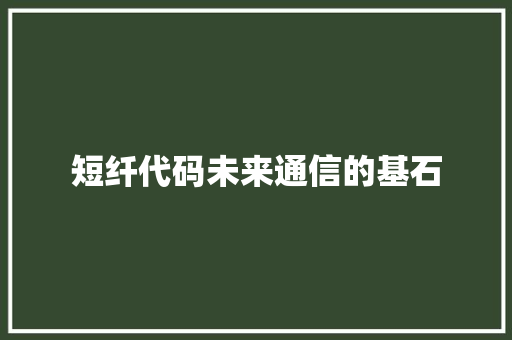 短纤代码未来通信的基石