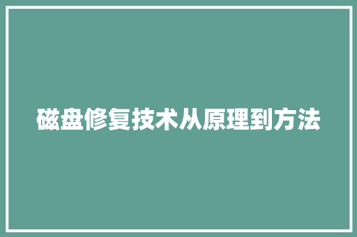 磁盘修复技术从原理到方法